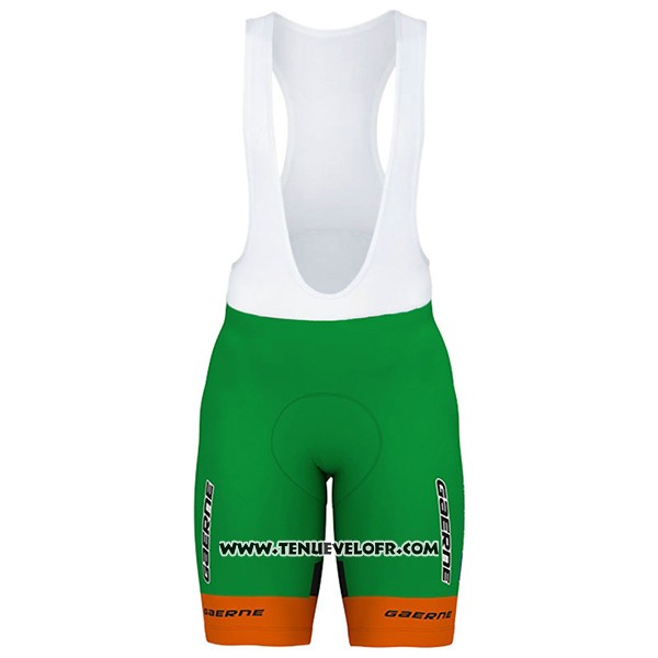 2017 Maillot Ciclismo Bardiani CSF Blanc et Vert Manches Courtes et Cuissard